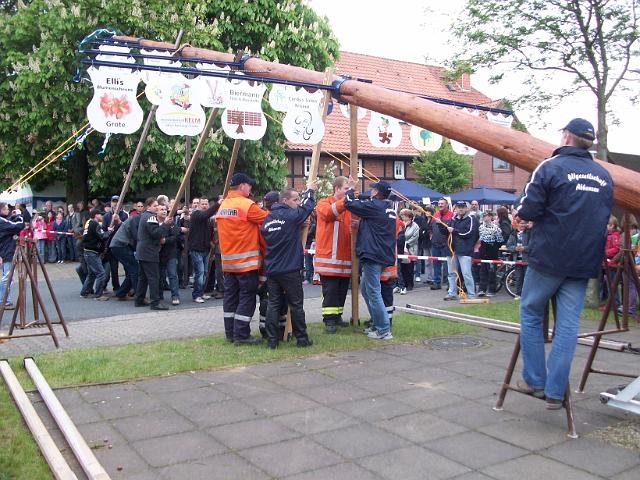 Maibaum 019.jpg